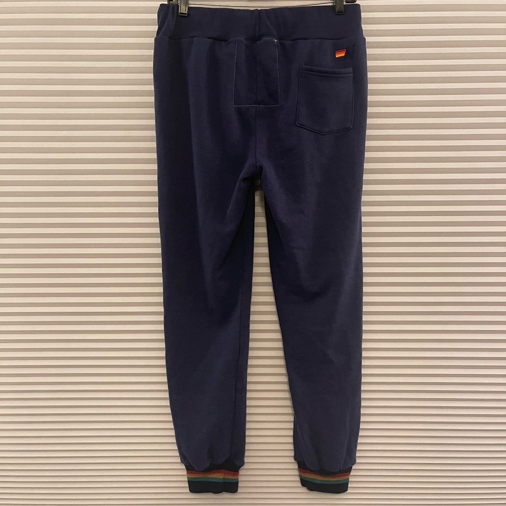 Aviator nation. Slim fit rainbow prism sweatpants.